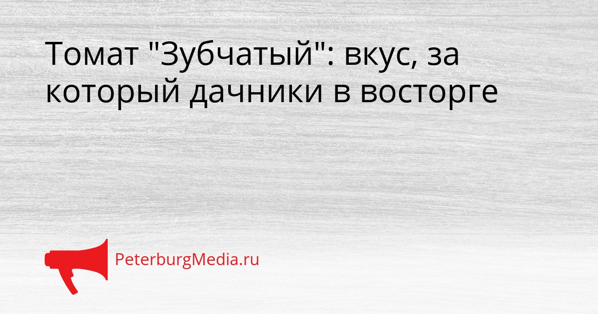 Томат &quotЗубчатый&quot: вкус, за который дачники в восторге Сгенерировано