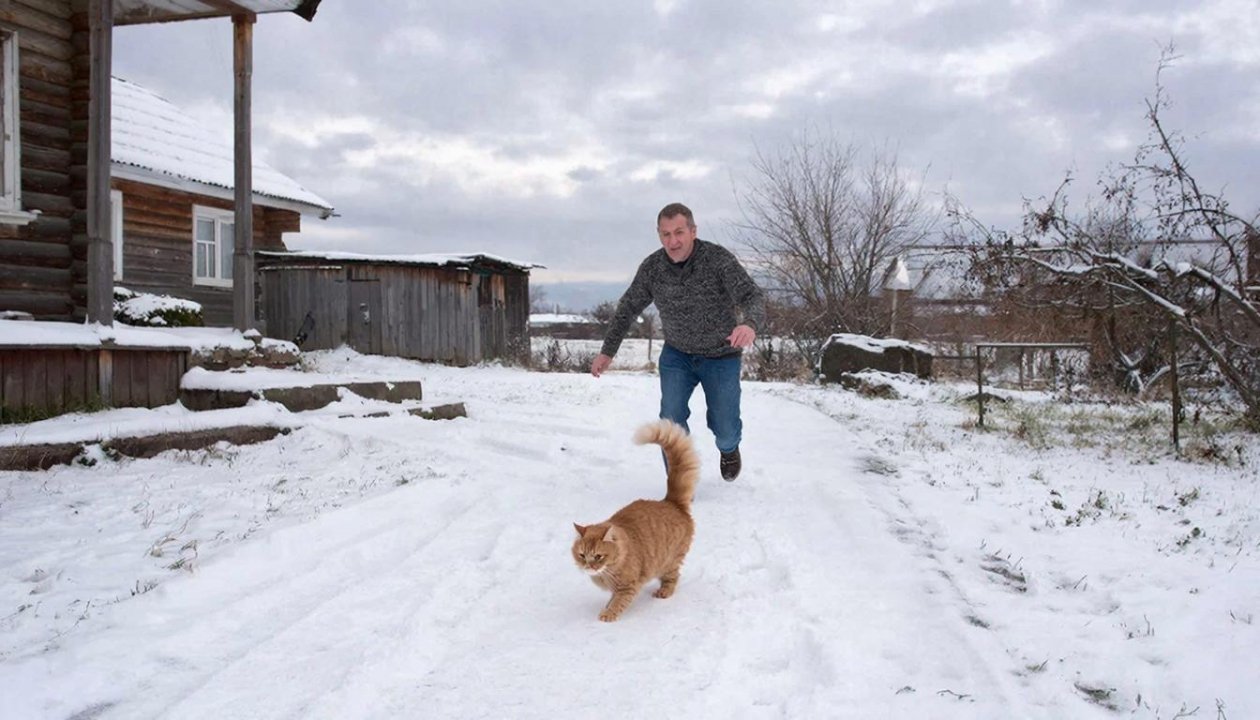 Ни один усатый не подойдет: как отучить чужих котов метить на участке - 10 способов ИИ GigaChat (18+)