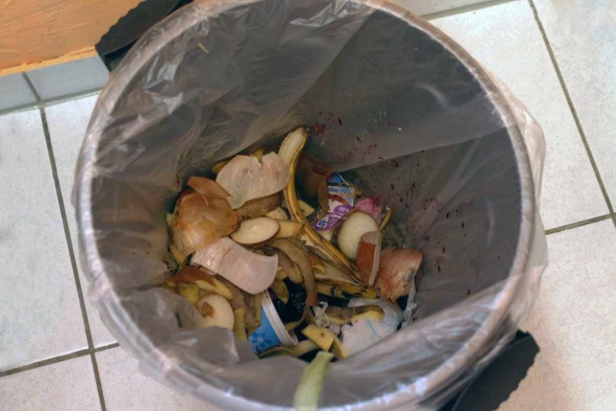 Тематическое фото pxhere.com