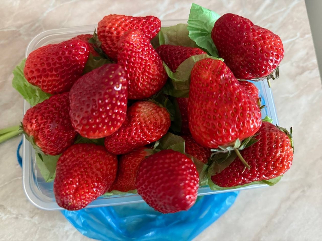 Клубника Марина Голикова, ИА UssurMedia