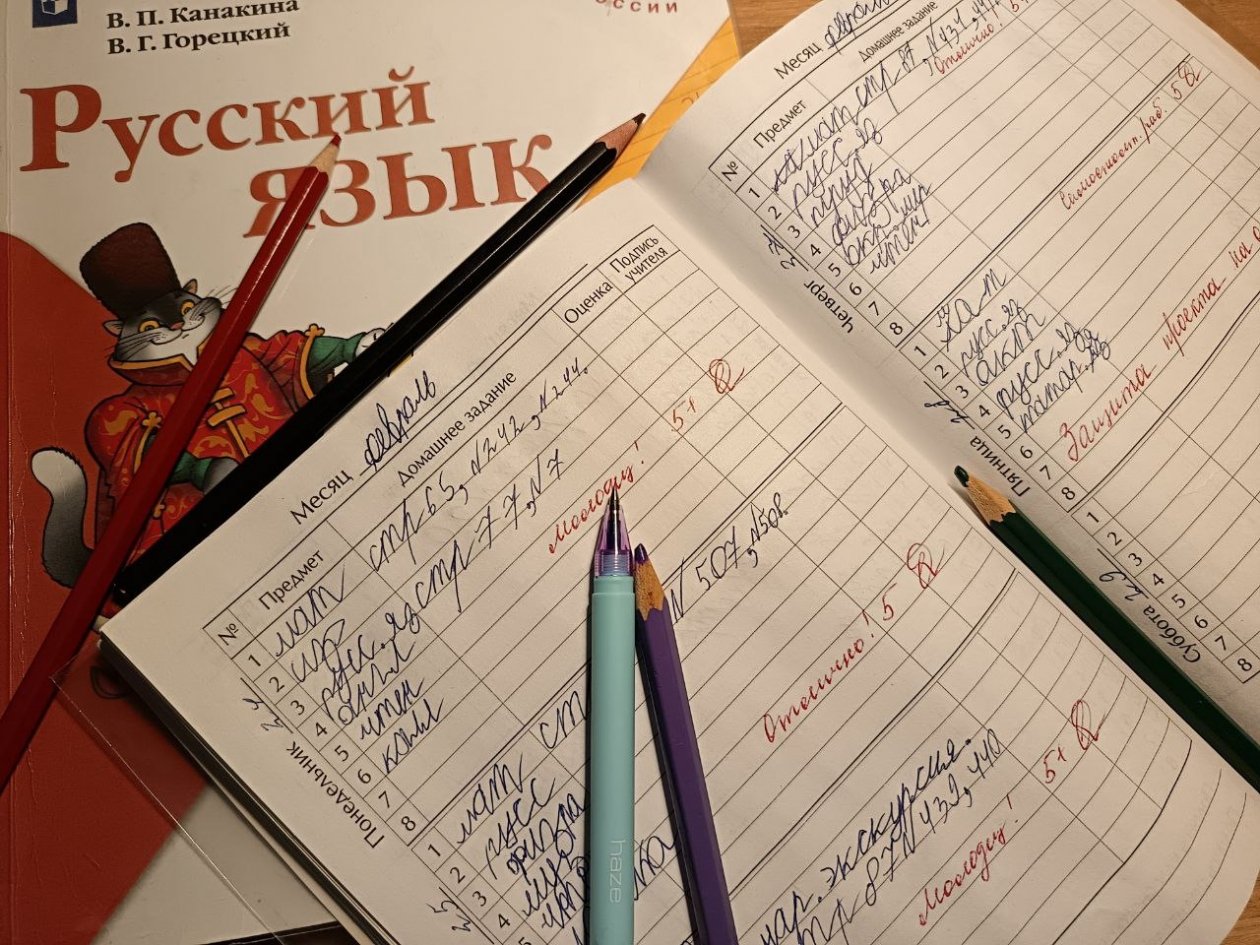 Рыдают даже учителя, а вы ответите на 5/5 без ошибок? - ТЕСТ по русскому языку ИА KrasnodarMedia
