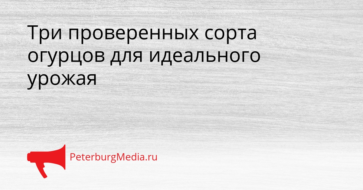 Три проверенных сорта огурцов для идеального урожая Сгенерировано