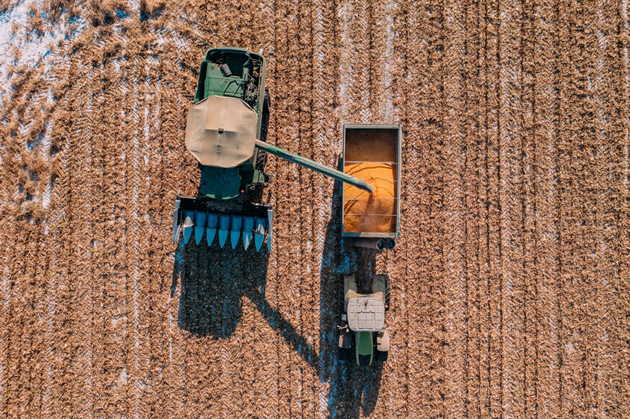 В Приморье специалисты ЦОК АПК установили нарушения в четырех партиях кукурузы массой более 600 тонн Мария Смитюк, ИА PrimaMedia.ru