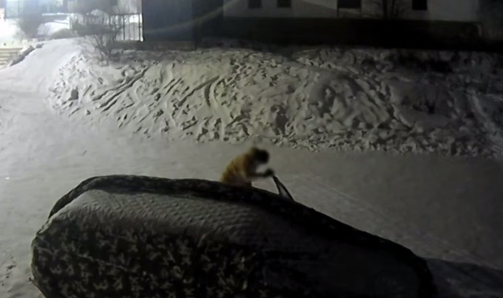 Кража Кадр из видео