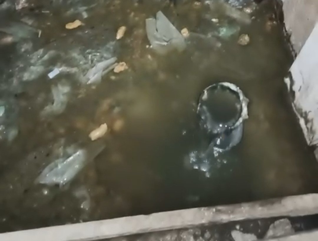 Фото с &quotароматом&quot. Жители дома 18 по улице Автомобилистов в столице Камчатки задыхаются от  запаха фекалий ИА KamchatkaMedia