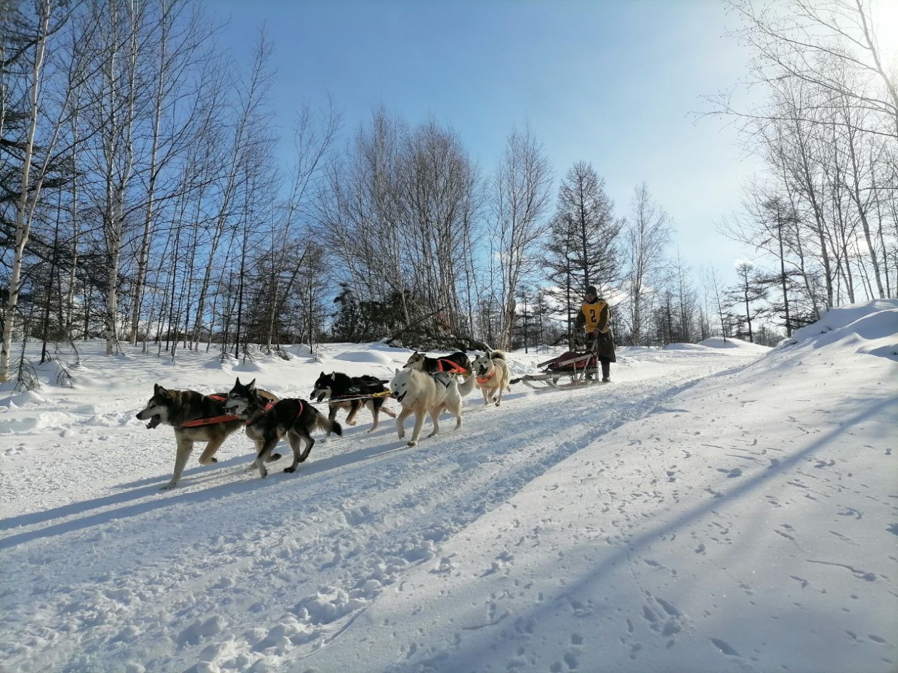 Берингия - 2023 Елена Поддубная, ИА KamchatkaMedia