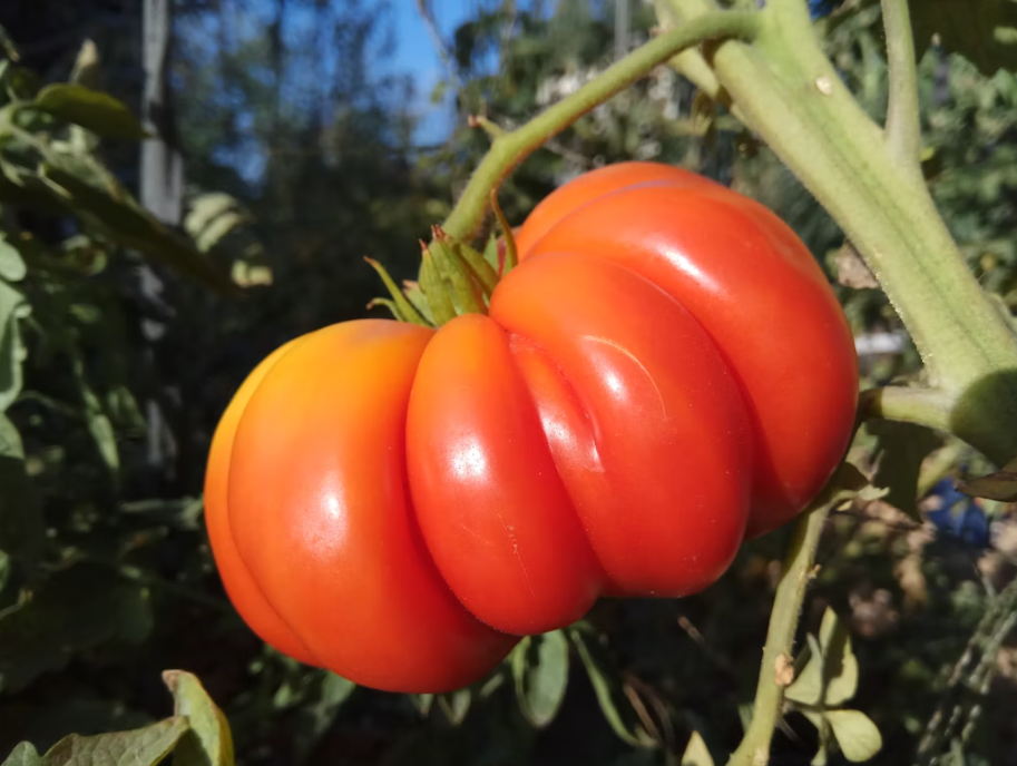 Тематическое фото Unsplash.com (18+)