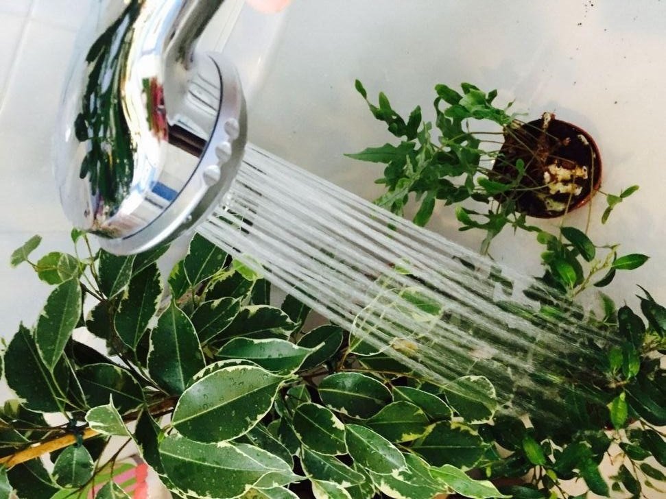 Тематическое фото Автор канала