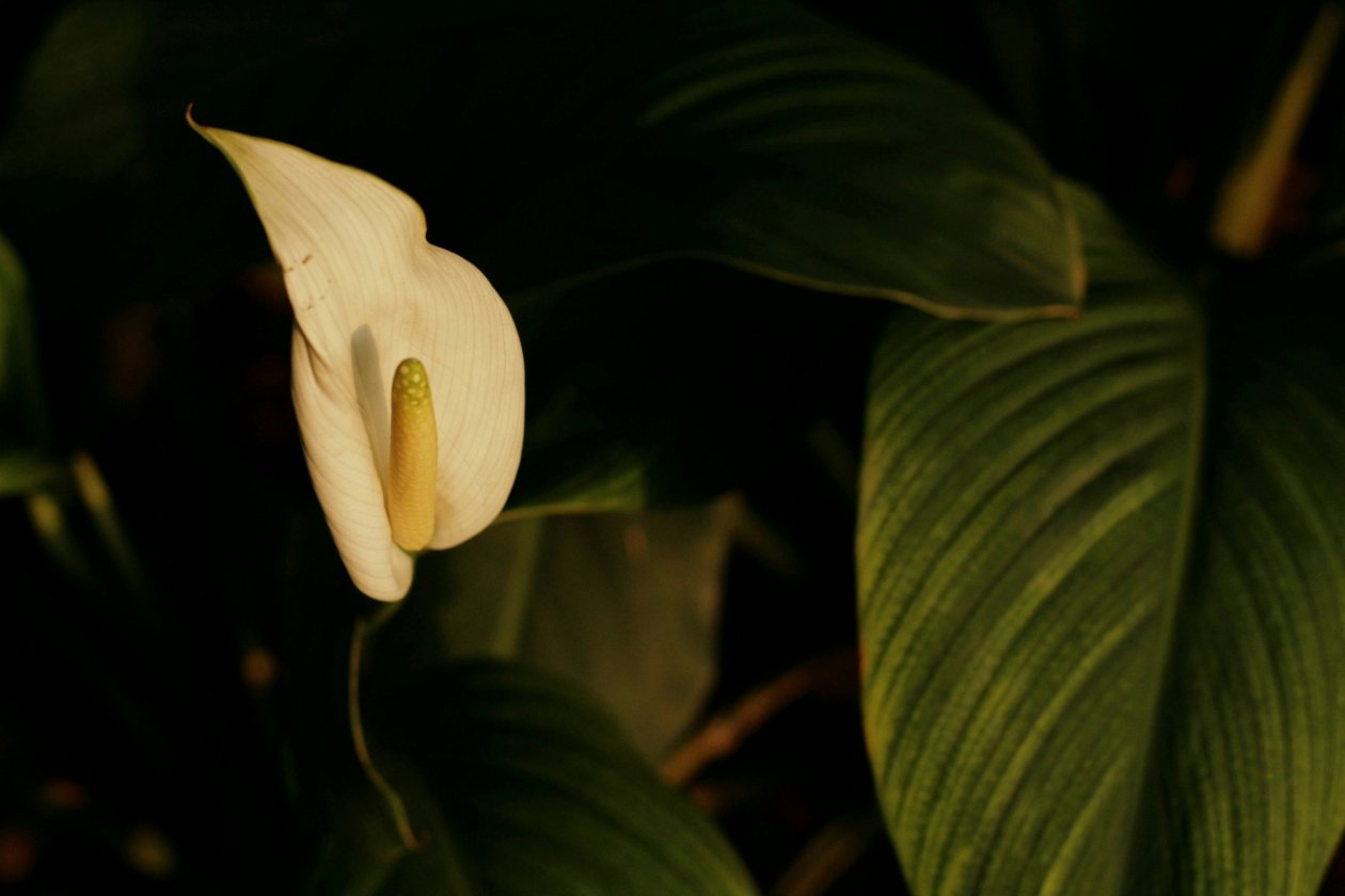 Тематическое фото unsplash (18+)