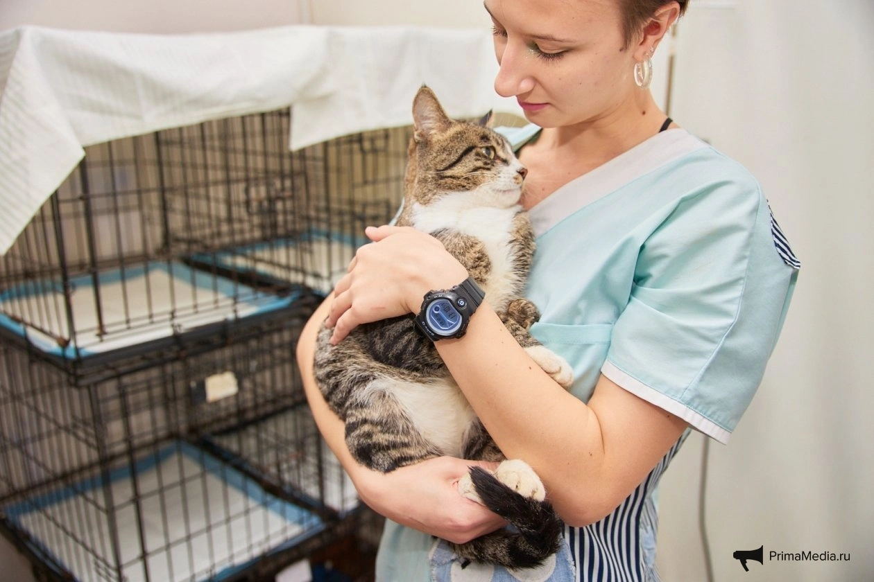 Тематическое фото ИА PrimaMedia