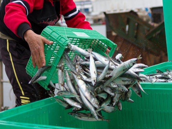 Тематическое фото Правительство Севастополя