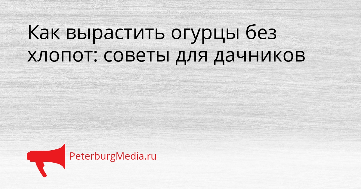Как вырастить огурцы без хлопот: советы для дачников Сгенерировано