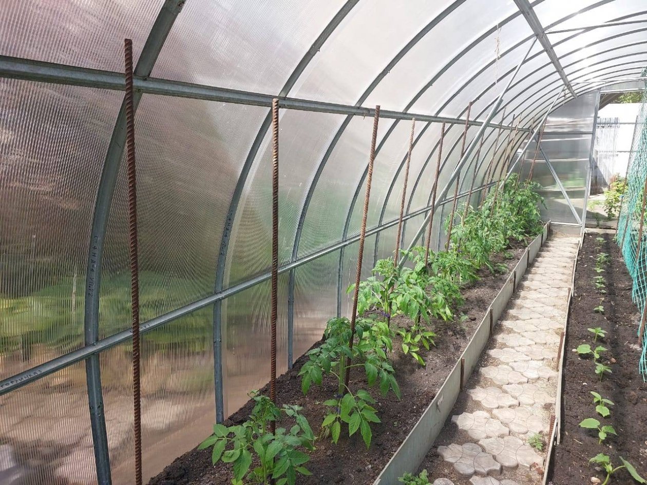 Теплица из поликарбоната - уже в прошлом: есть долговечная замена без трещин, пыли и потёков грязи ИА KrasnodarMedia