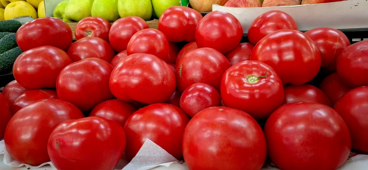 Томаты вымахали выше забора: 3 сорта-гиганта, которые слаще меда и не боятся жары фото автора