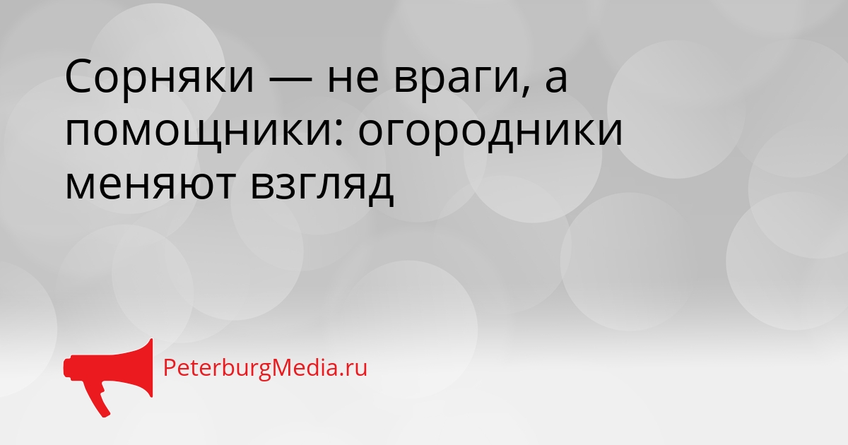 Сорняки — не враги, а помощники: огородники меняют взгляд Сгенерировано