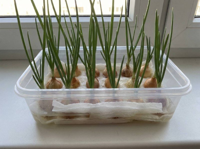 Тематическое фото ИИ Кандинский