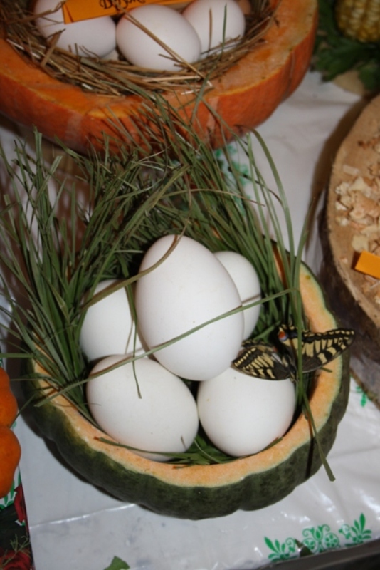 Участие в ярмарке приняли фермеры, дачники и производители пищевой продукции, Фото с места события собственное