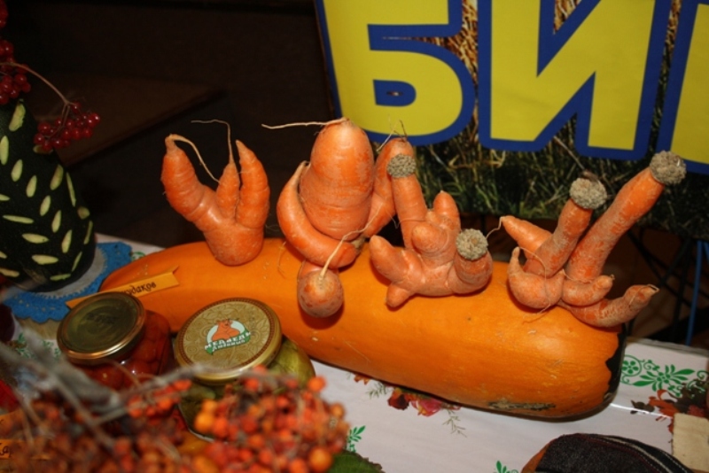 Выставкой-ярмаркой "Золотая осень" отметили праздник крестьяне ЕАО, Фото с места события собственное