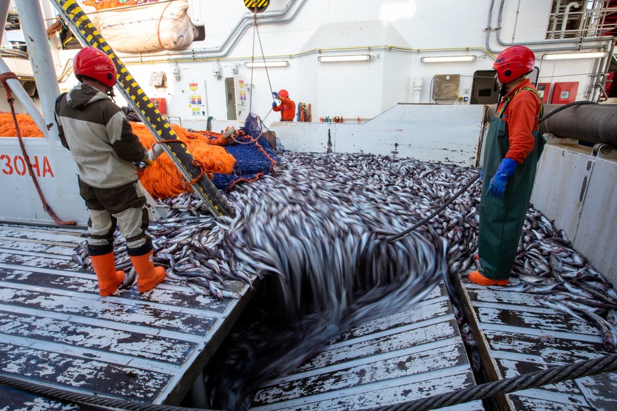 Пресс-служба РРПК