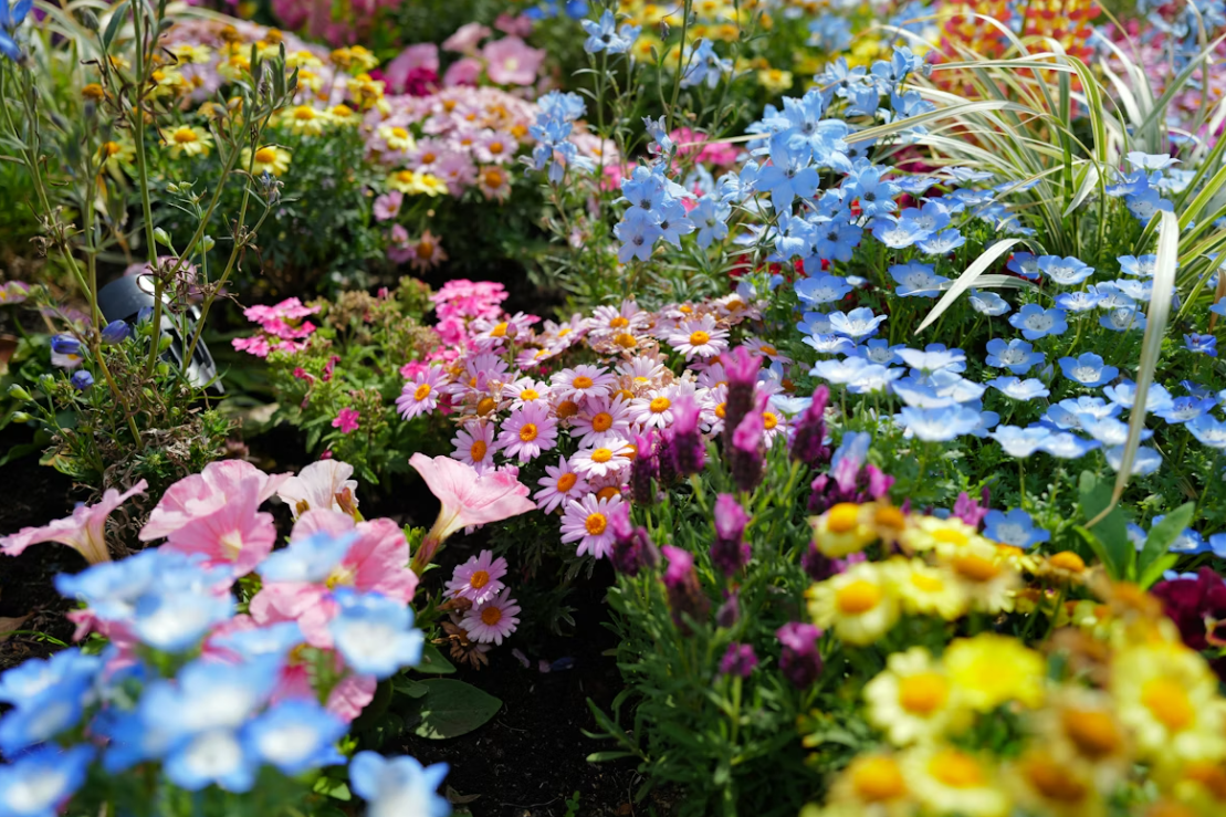 Тематическое фото unsplash.com