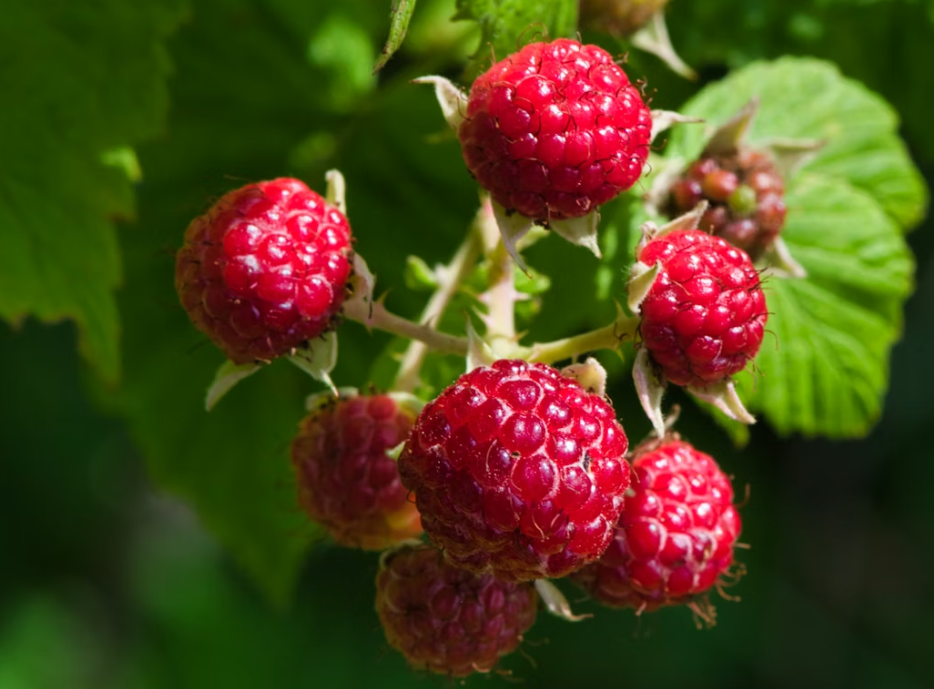 Тематическое фото Unsplash (18+)