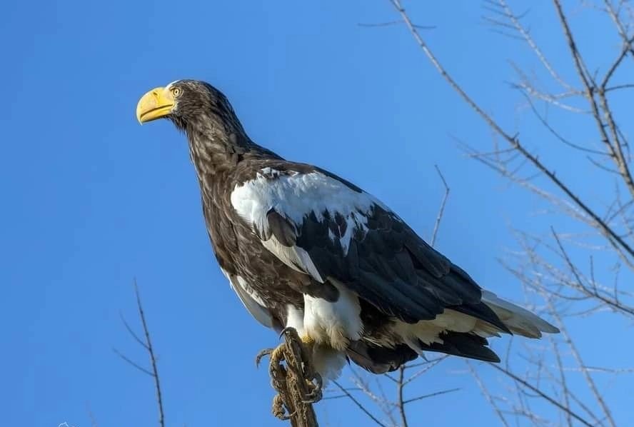Комсомольский заповедник