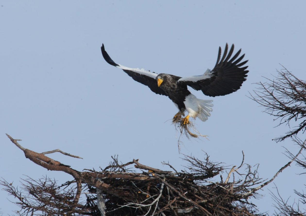 Комсомольский заповедник