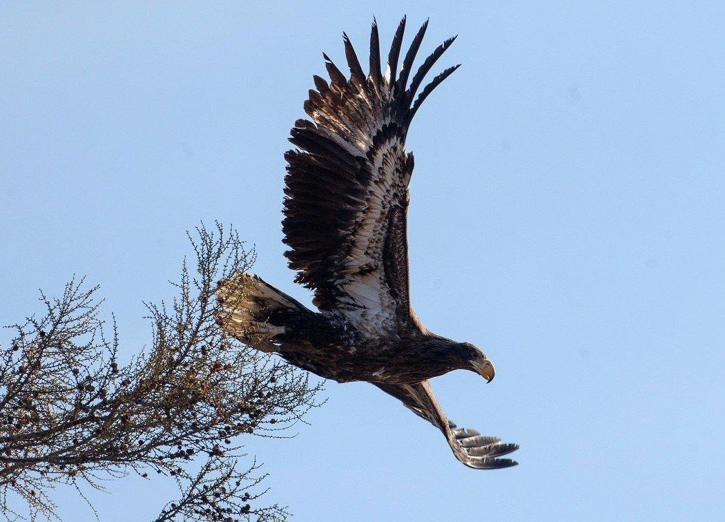 Комсомольский заповедник