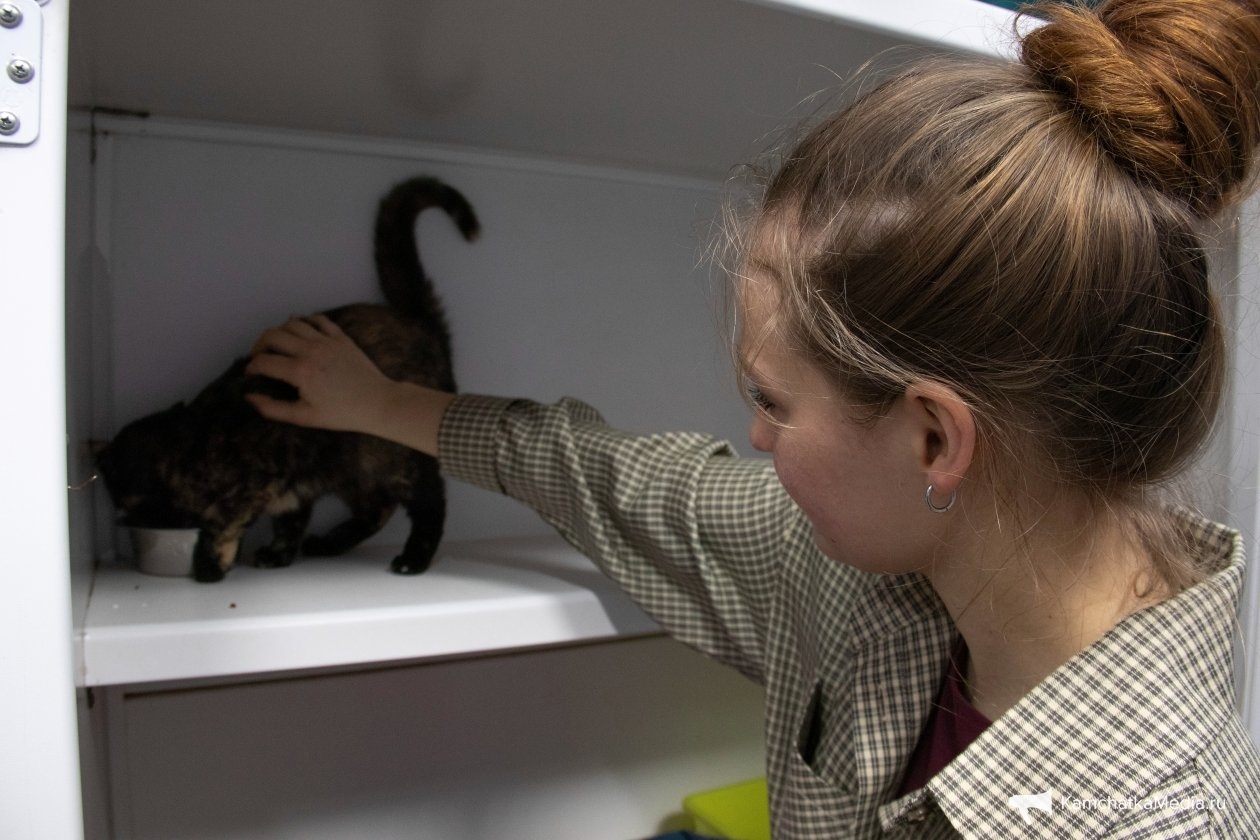 Ирина Васильева, ИА KamchatkaMedia