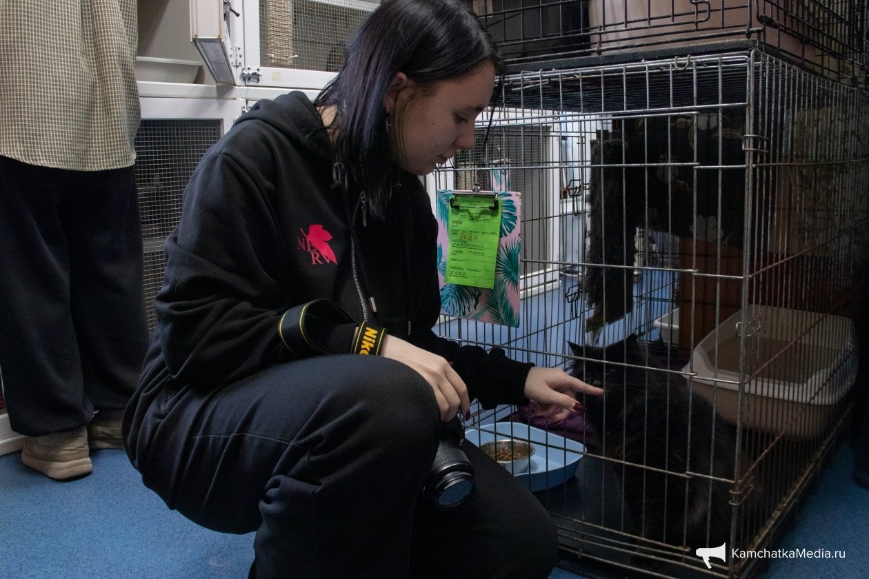 Ирина Васильева, ИА KamchatkaMedia