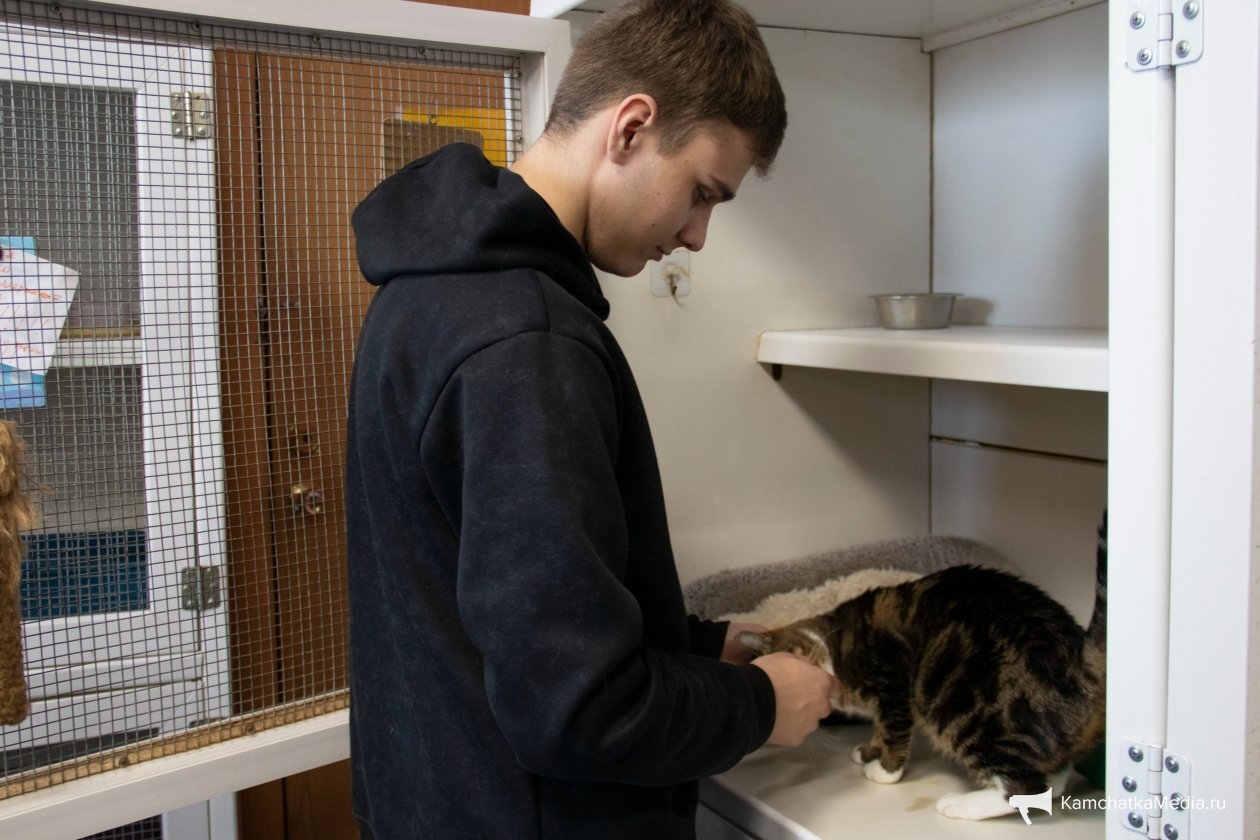 Ирина Васильева, ИА KamchatkaMedia