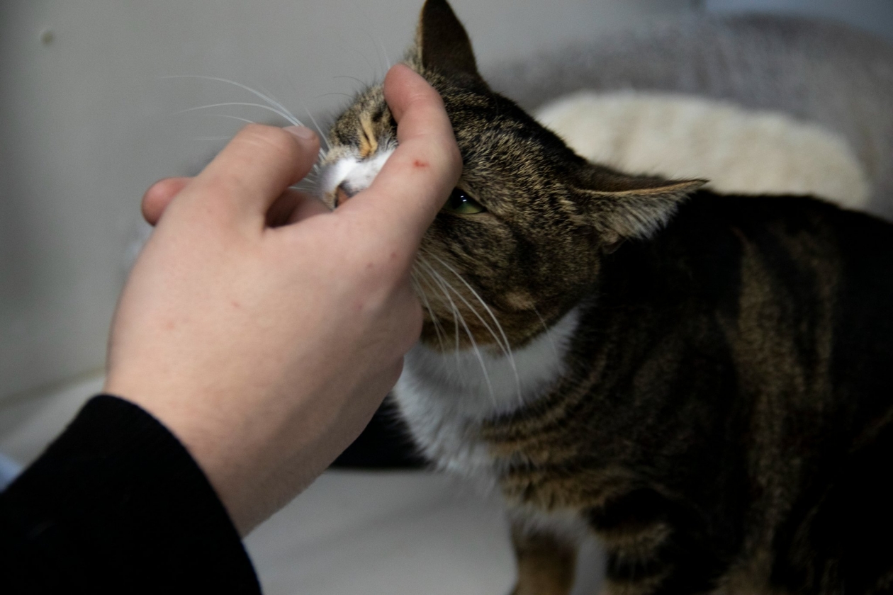 Ирина Васильева, ИА KamchatkaMedia