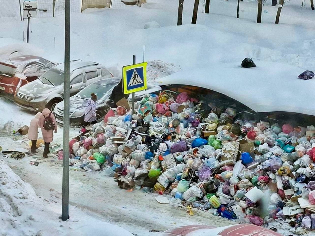 Мусор в ЖК &quotСкандинавия&quot Telegram / &quotМосква с огоньком&quot (18+)