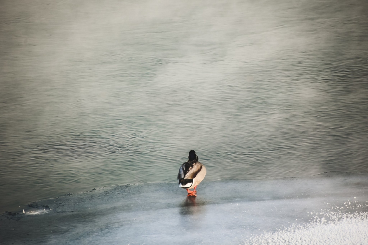 До -48°С похолодает в Иркутской области 5 февраля Юлия Ушакова, ИА IrkutskMedia