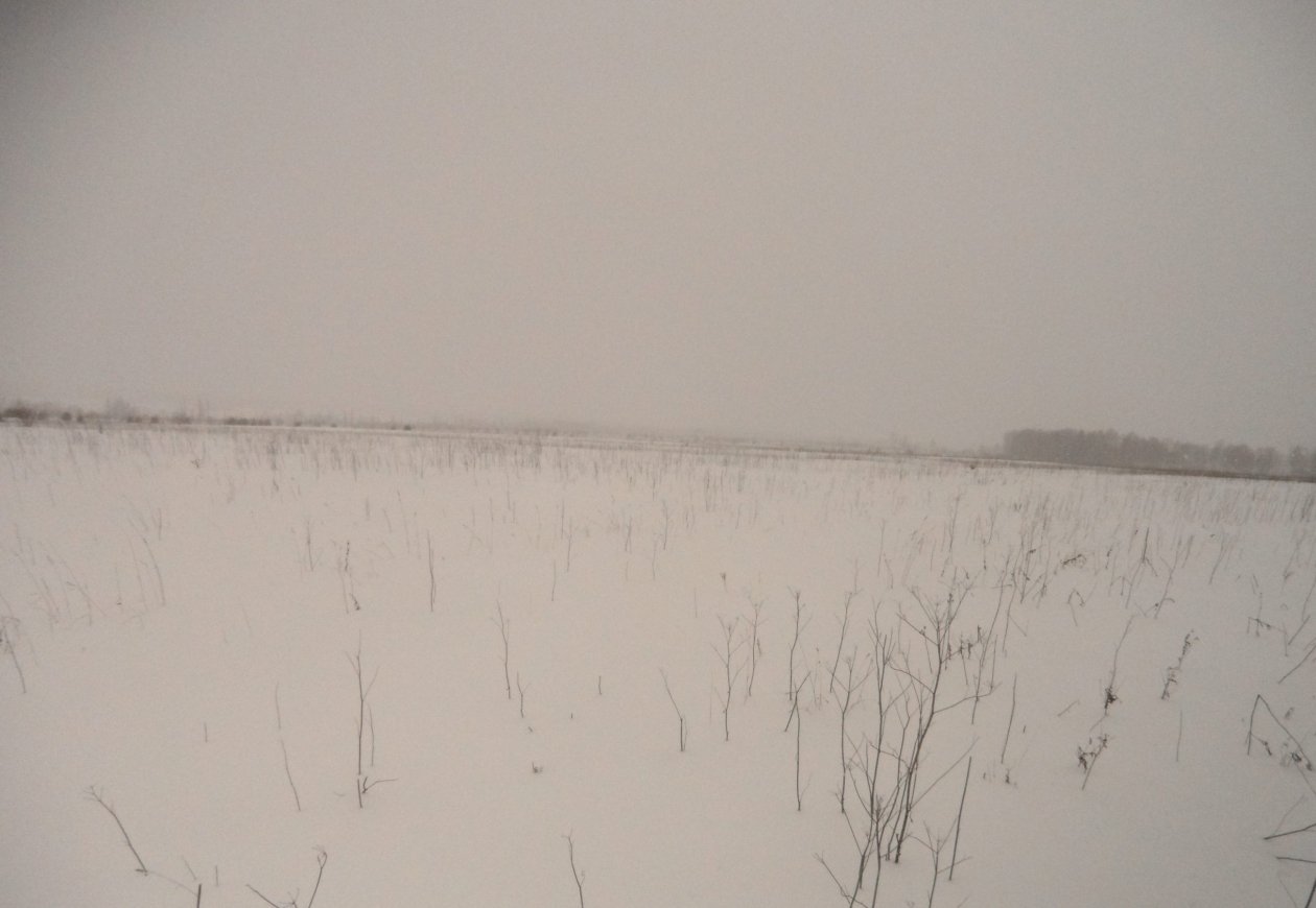 . пресс-служба управления Россельхознадзора по Красноярскому краю