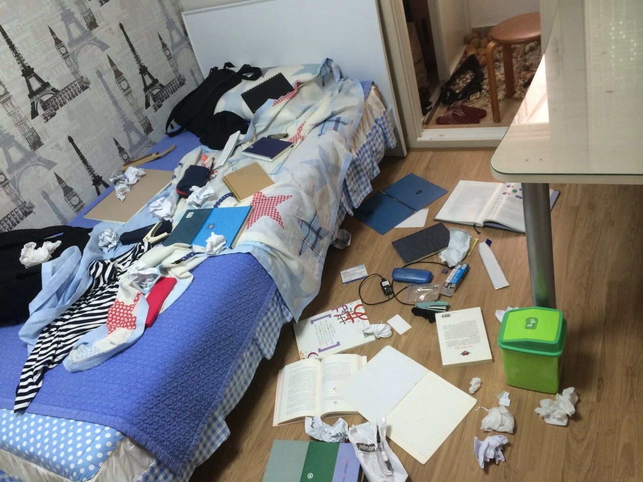 В России хотят поднять штрафы за антисанитарию в квартире pxhere.com