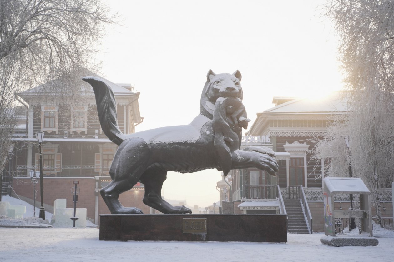 Семь случаев продажи алкоголя с нарушениями выявили в Приангарье за январь Пресс-служба правительства Иркутской области