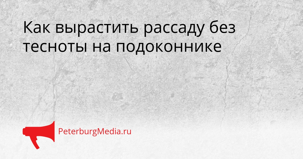 Как вырастить рассаду без тесноты на подоконнике Сгенерировано