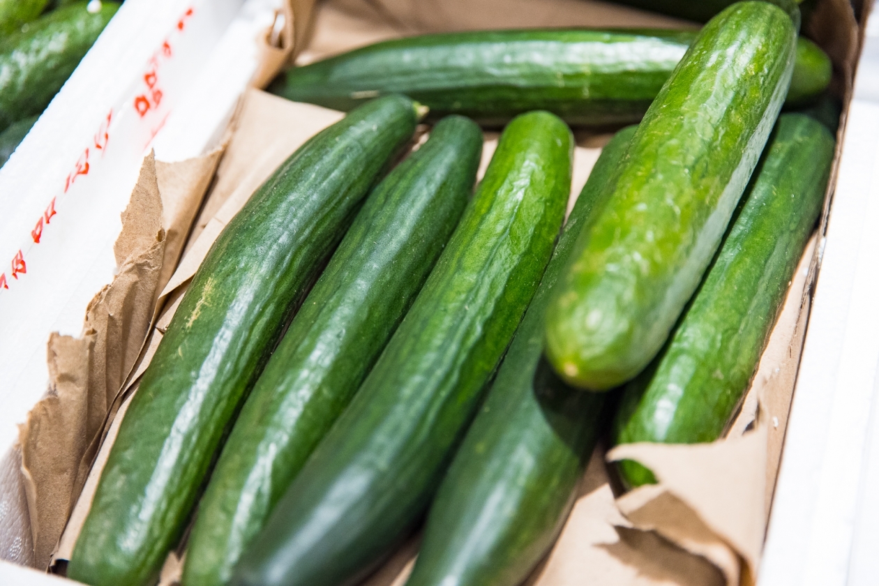 Тематическое фото Илья Аверьянов, ИА PrimaMedia