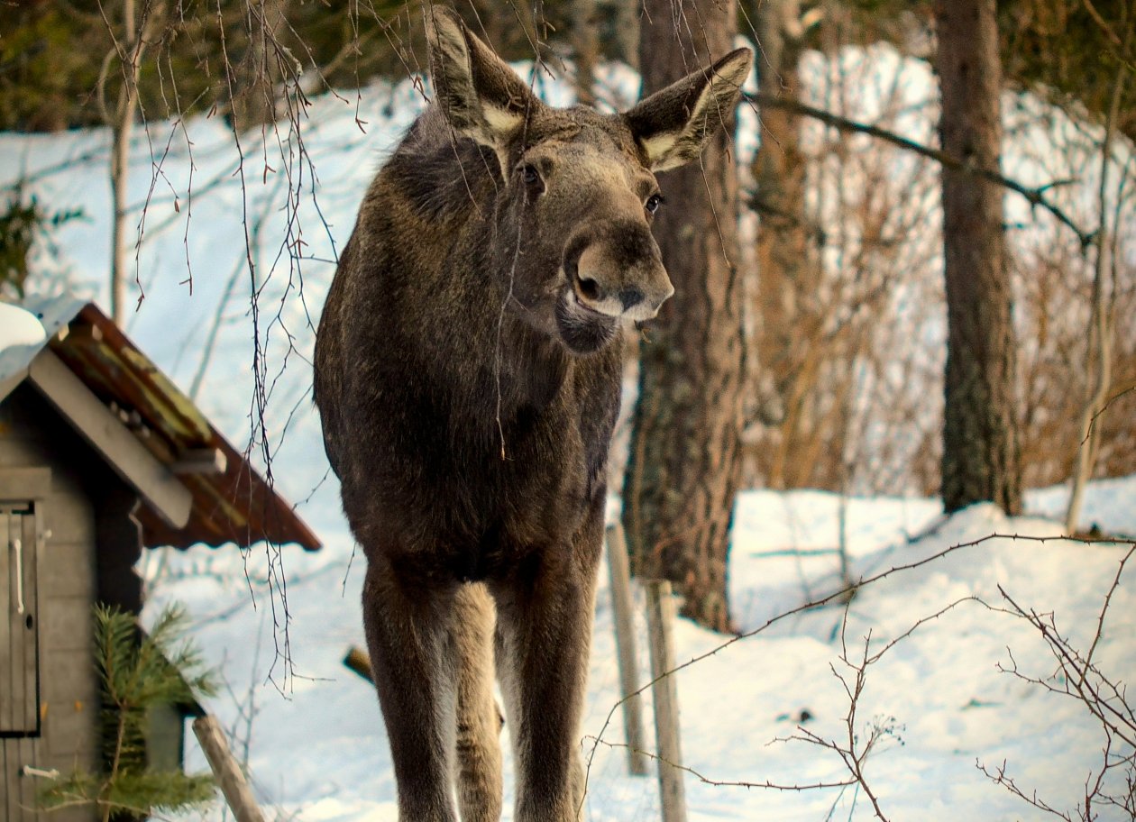 Тематическое фото unsplash.com