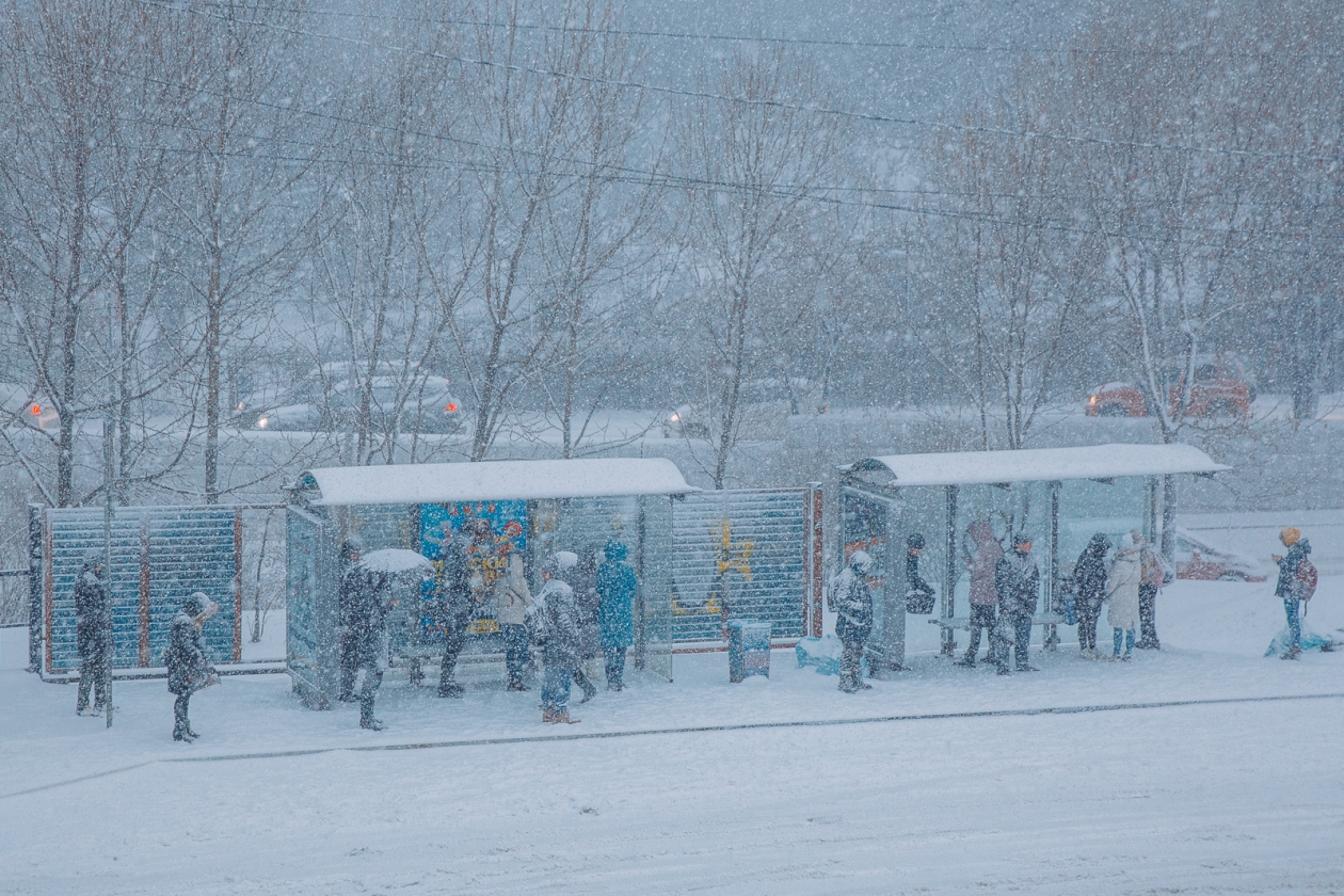 Тематическое фото ИА PrimaMedia