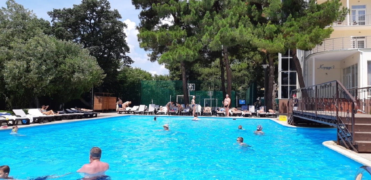 Тематическая иллюстрация Людмила Лата, ИА KrasnodarMedia