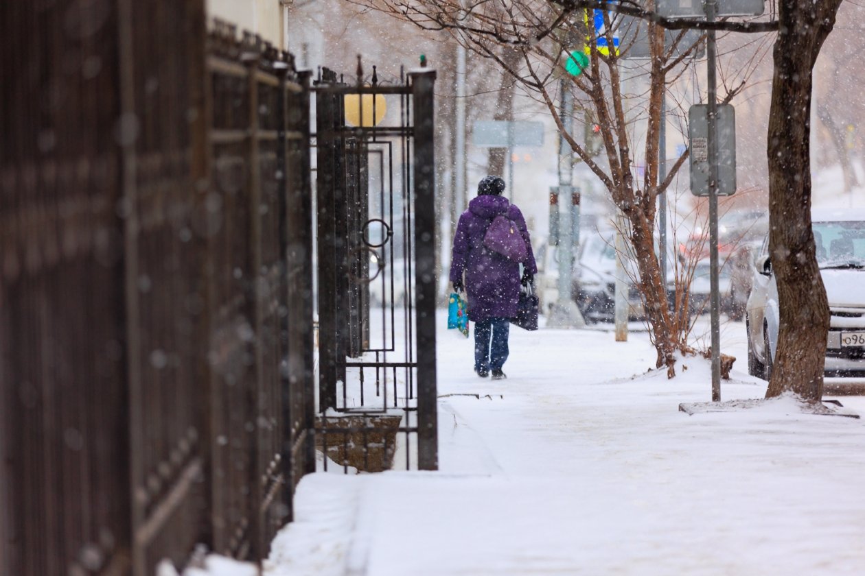 Приморье встречает первый февральский снегопад Яна Гайдук, ИА PrimaMedia