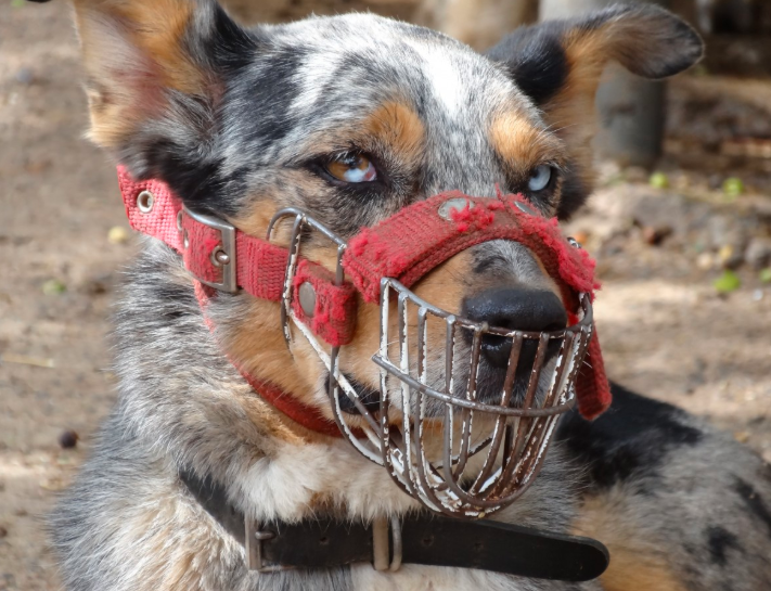 Тематическое фото pxhere.com (18+)