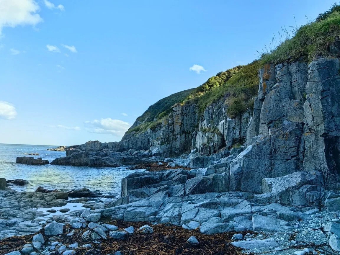Южная Камчатка пресс-служба КамГУ им. Витуса Беринга
