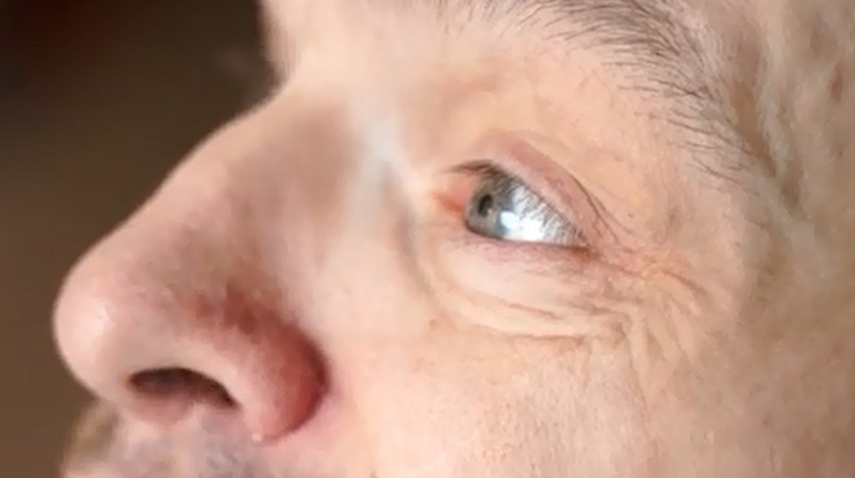 Скриншот. Минсоцзащиты Хабаровского края