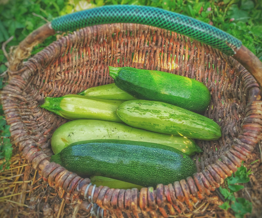 Тематическое фото unsplash.com