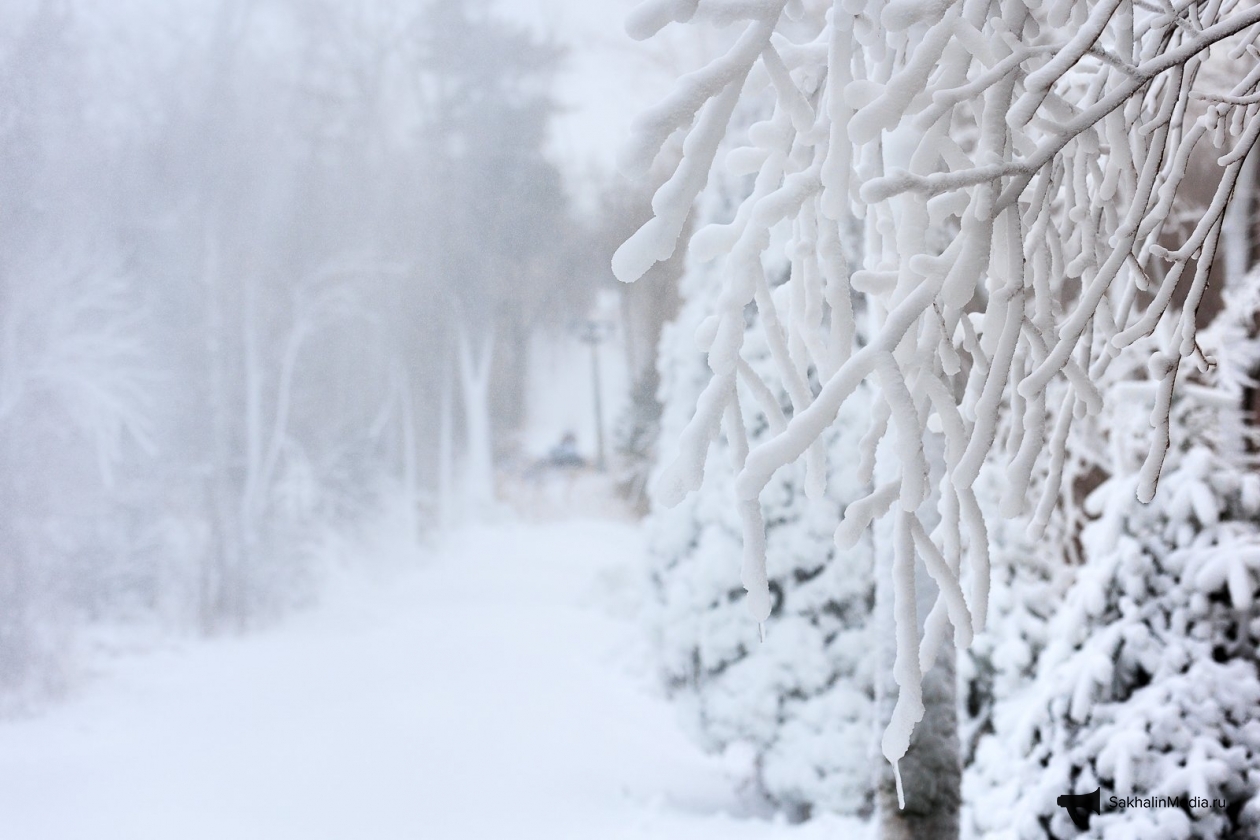 Тематическая фото Евгений  Кулешов, ИА PrimaMedia