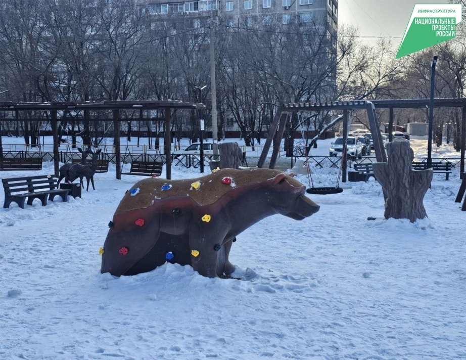 Тематическое фото Пресс-служба губернатора и правительства Хабаровского края