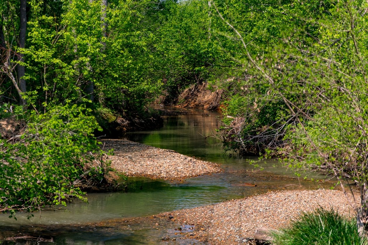 Ручей Илья Аверьянов, ИА PrimaMedia.ru